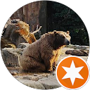 Mr. Catacroquer profile picture