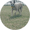 Jose Antonio Medina Molina profile picture