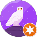 Miss Lady profile picture